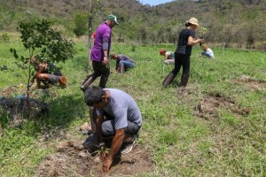 2º AGROECOLOGIA - PEDRO AMATUZZI (71)